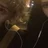 John_Bewerly